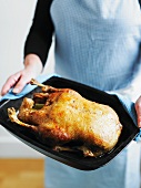 Crispy roast duck in the roasting tin