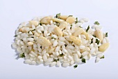 Vialone Nano risotto rice with pine nuts and chives