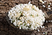 Vialone Nano risotto rice with pine nuts and chives on a wooden spoon