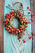 Wreath made of assorted rose hips