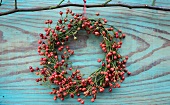 Wreath made of small rose hips