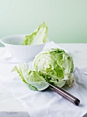 An iceberg lettuce being cut