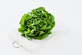 A lettuce on a chopping board against a white background