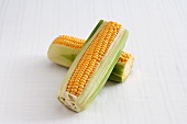 Two corn on the cob against a white background