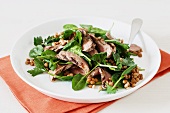 Salad with grilled lamb and lentils
