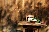 Elderflowers in a bowl on a table outside a wooden cabin