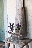 Arrangement of clematis flowers in three glass bottles with driftwood branch in front of upright driftwood pieces on wooden stool in vintage ambiance