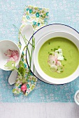 A Bowl of Pea Soup with Thinly Sliced Radish Garnish