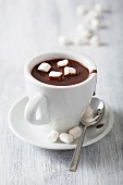 A cup of hot chocolate with mini marshmallows