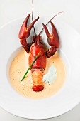 Crawfish bisque (crayfish soup, USA)