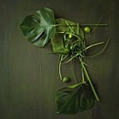 An arrangement of exotic leaves with limes