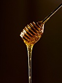 Honey flowing from a honey dipper