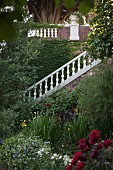 Flowering gardens with flight of steps and white, stone balustrade