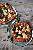 Zwei Pizzas Margherita aus dem Holzofen