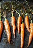 Caramelised carrots with their leaves