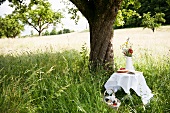 A festive table in long grass with a cake and a bunch of summer flowers