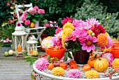 Autumnal patio decoration with asters, dahlias, ornamental squash and lanterns