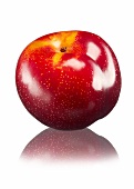 A red plum