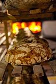 Frisch gebackene Brote auf Regal vor dem Holzofen in der Bäckerei