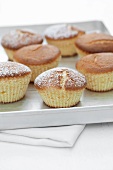 Vanilla muffins sprinkled with icing sugar