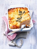 Lasagne with ham