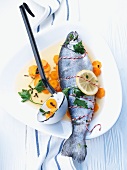 Trout in white wine sauce with carrots