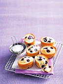 Blueberry and lemon friands on a wire rack