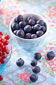 Fresh blueberries in a bowl