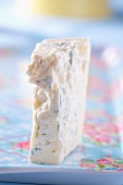 A piece of Gorgonzola