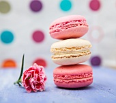 Three macaroons and a pink