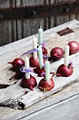 Halved red onions used as candlesticks on weathered wooden slats