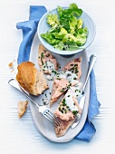 Trout fillets with leek farce and chive sauce
