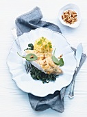 Florentine style Pike-perch fillet on spinach with pine nuts