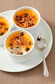 Creme brulee with blueberries