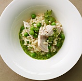 Pea risotto with chicken and pesto