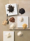 Assorted rice varieties in small piles
