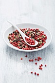 Assorted peppercorns on a plate with a spoon