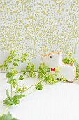 A dog-shaped biscuit with lady's mantle against a light green patterned wall