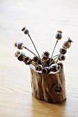Dried poppy seed heads in hollow log on table