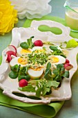 Hartgekochte Eier mit Meerrettich, Radieschen, Feldsalat und Kresse zu Ostern