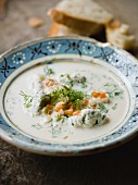 Creamy fish soup with dumplings, fennel and carrots