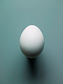 Ein Ei der Hühnerrasse Araucana