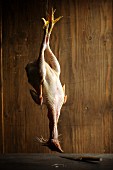 A plucked capon, hung up