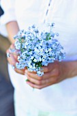 Hands holding forget-me-not flowers