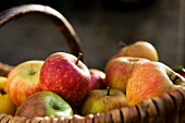 Autumn apples in a basket