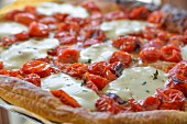 Tomatentarte mit Mozzarella (Close Up)