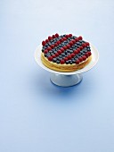 Blueberry Raspberry Cheesecake