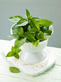 Mint in a small bowl