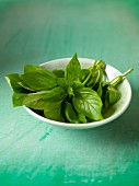 Fresh basil in a bowl