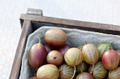 Gooseberries in a wooden crate